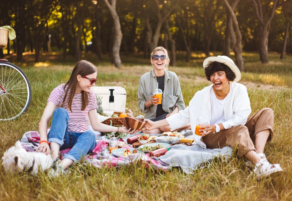 Outdoor Food Cooler