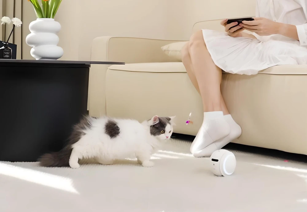 good pet cameras